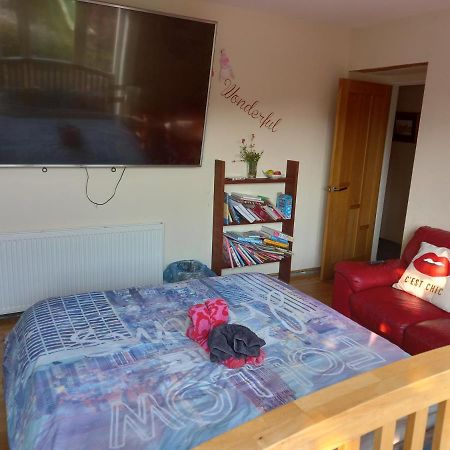 Ferienwohnung No 9 Manor Way Carmarthen Exterior foto